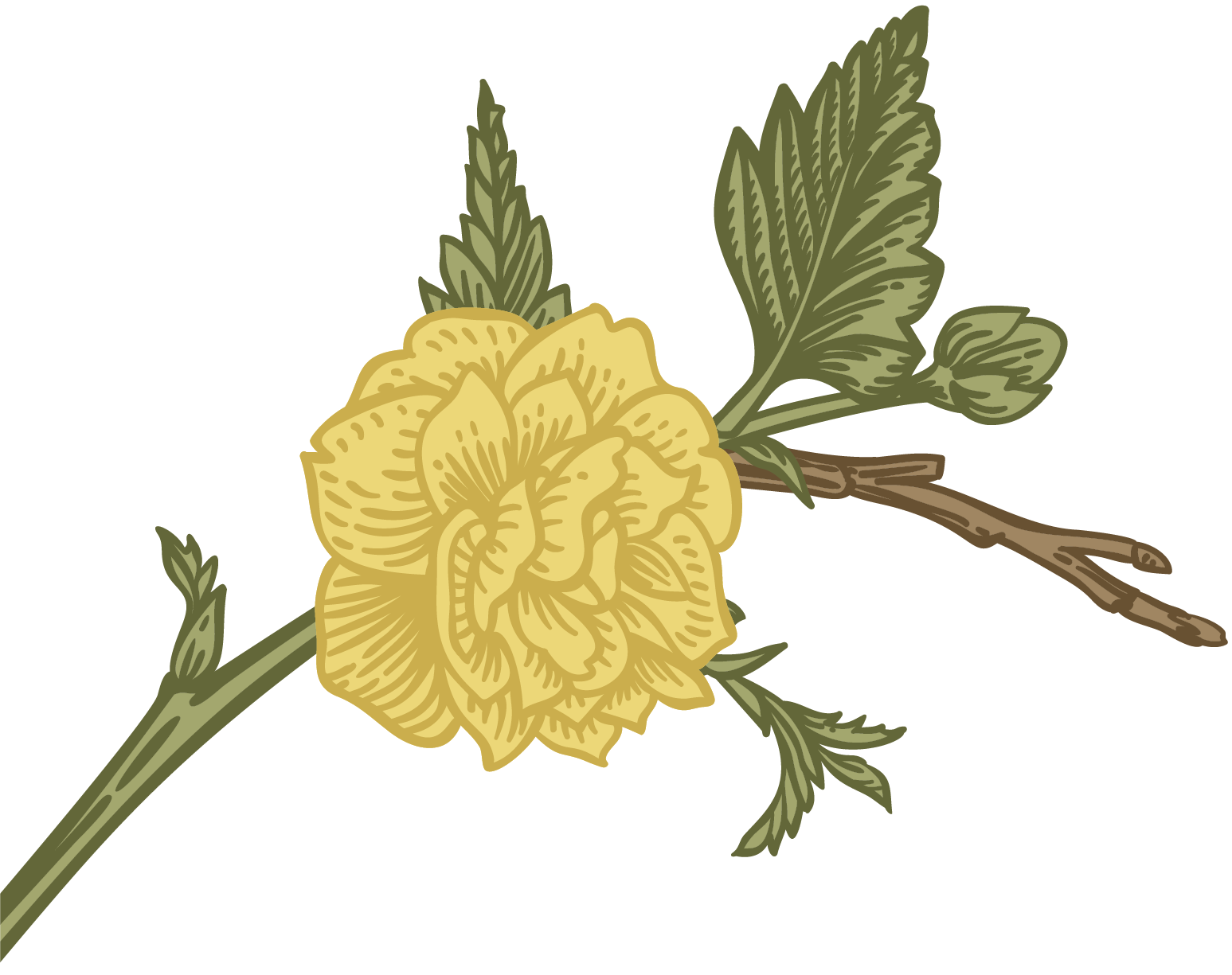 Decorative